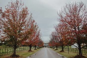 The Convent Hunter Valley - Accommodation Tasmania 49