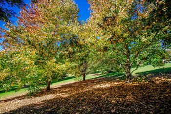 Avoca Valley Bed & Breakfast - Accommodation Tasmania 14