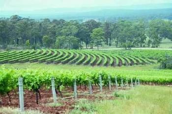 Hunter Hideaway Cottages - Accommodation Tasmania 3