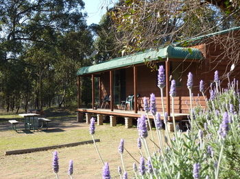 Hunter Hideaway Cottages - Accommodation Tasmania 4
