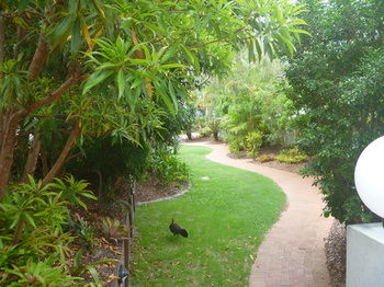 Chez Noosa Resort Motel - Accommodation Tasmania 21