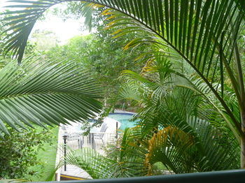 Chez Noosa Resort Motel - Accommodation Tasmania 29