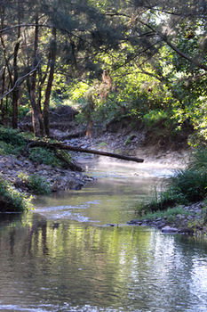Yabbaloumba Retreat - Accommodation Tasmania 5