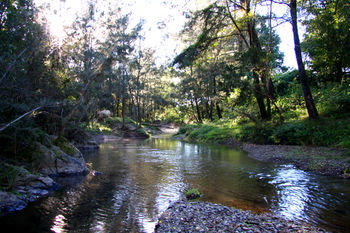 Yabbaloumba Retreat - Accommodation Tasmania 25