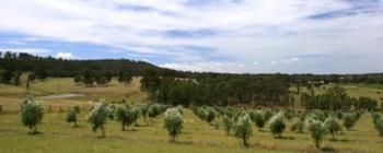 Hunter Homestead - Accommodation Tasmania 7