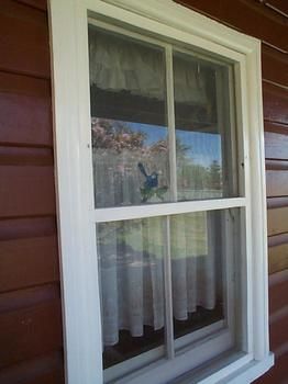 Aaron Cottage - Accommodation Tasmania 1