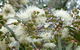 The Retreat At Froog-Moore Park - thumb 51