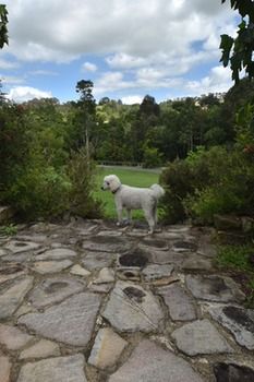 Coverdales B & B At Eumundi - Accommodation Tasmania 23
