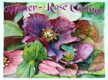 A Winter-rose Cottage B&B - Accommodation Tasmania 0