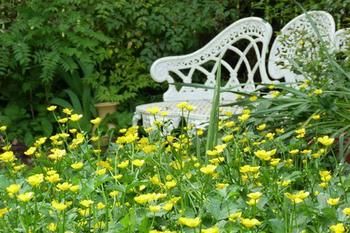 A Winter-rose Cottage B&B - Accommodation Tasmania 4