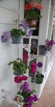 A Winter-rose Cottage B&B - Accommodation Tasmania 5