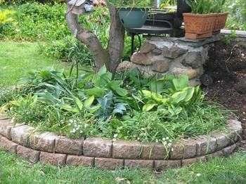 A Winter-rose Cottage B&B - Accommodation Tasmania 6