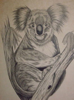 Sandholme Guesthouse - Accommodation Tasmania 24