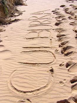 Culburra Beach House - Accommodation Tasmania 12