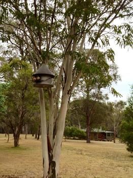 Buffs At Pokolbin - Accommodation Tasmania 2