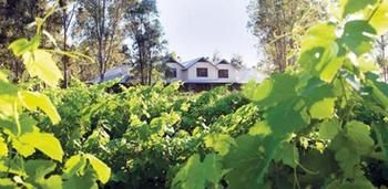 Spicers Vineyards Estate - Accommodation Tasmania 3