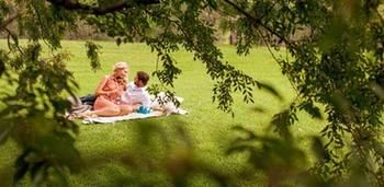 Spicers Vineyards Estate - Accommodation Tasmania 4