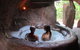 Noosa Edge Nudist Retreat - thumb 13