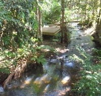 Treetops Accommodation Montville - Accommodation Tasmania