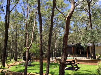 Belford Cottages - Accommodation Tasmania 10