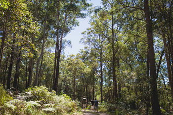 Bawley Bush Retreat And Cottages - Accommodation Tasmania 9