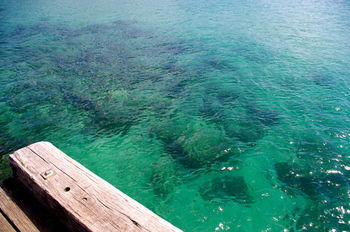 Bawley Bush Retreat And Cottages - Accommodation Tasmania 39