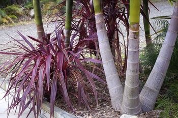 Bawley Bush Retreat And Cottages - Accommodation Tasmania 42