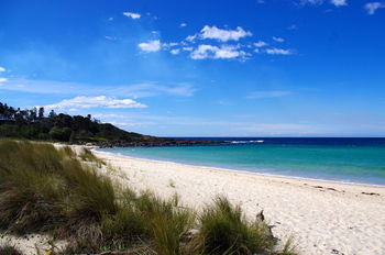 Bawley Bush Retreat And Cottages - Accommodation Tasmania 58