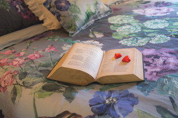 The Heart Of Emerald Bed & Breakfast - Accommodation Tasmania 9