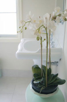 The Heart Of Emerald Bed & Breakfast - Accommodation Tasmania 30