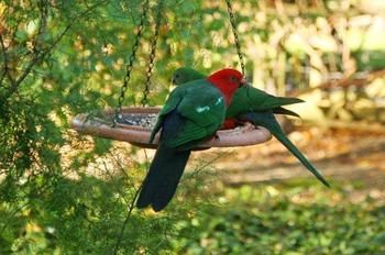 Glenview Retreat Luxury Bed & Breakfast - Accommodation Tasmania 12