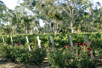 The Grange On Hermitage - Accommodation Tasmania 5