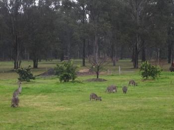 The Grange On Hermitage - Accommodation Tasmania 9