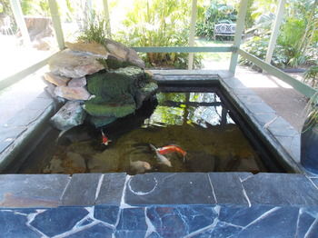 The Willows - Accommodation Tasmania 0