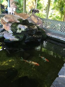 The Willows - Accommodation Tasmania 68