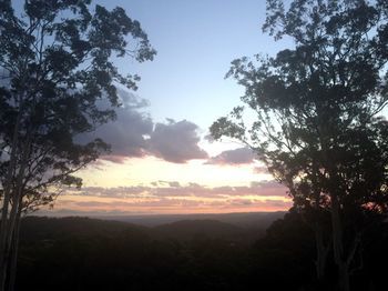 Phoenix Eumundi Bed & Breakfast - Accommodation Tasmania 14