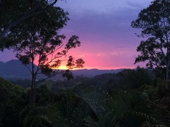 Phoenix Eumundi Bed & Breakfast - Accommodation Tasmania 17
