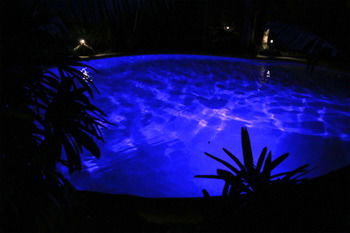 Alaya Escape - Accommodation Tasmania 42