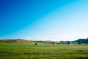 Kimo Estate - Accommodation Tasmania 17