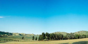 Kimo Estate - Accommodation Tasmania 18