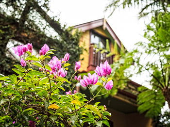 The Regents Park - Accommodation Tasmania 3