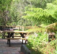 Blackwood Studio Accommodation - The Cottage - Accommodation Tasmania