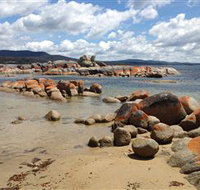 Lake Eckersley campground - Accommodation Tasmania