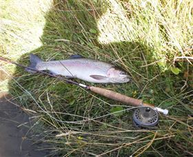 Quamby Pines Chalet B & B - Accommodation Tasmania 5