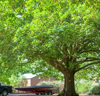 Lakes and Craters Holiday Park - Accommodation Tasmania