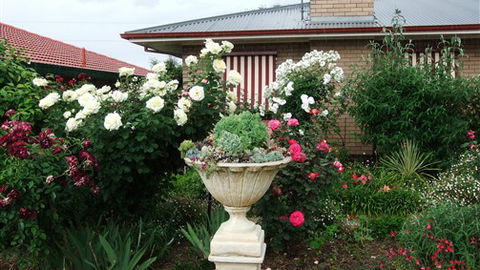 Admurraya House Bed And Breakfast - Accommodation Tasmania 5