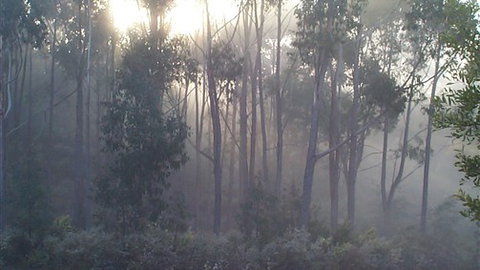 Carinya Park - Accommodation Tasmania 3