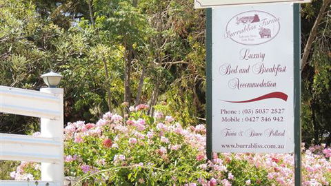 Burrabliss Bed And Breakfast - Accommodation Tasmania 6