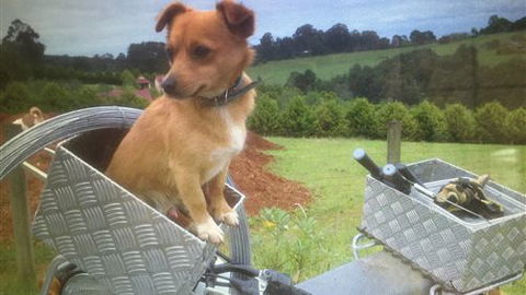 Farm Accommodation - Accommodation Tasmania 1