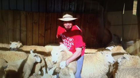 Farm Accommodation - Accommodation Tasmania 2